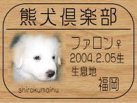 �I�[�i�[�́A�t�F���t�@�[�p�p���}�}����ł���